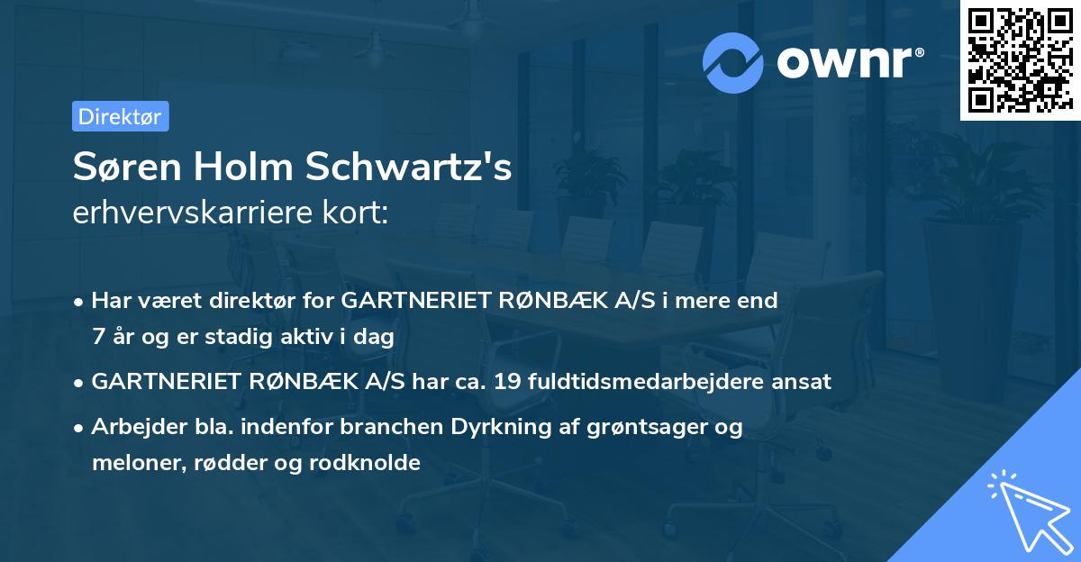 Søren Holm Schwartz's erhvervskarriere kort