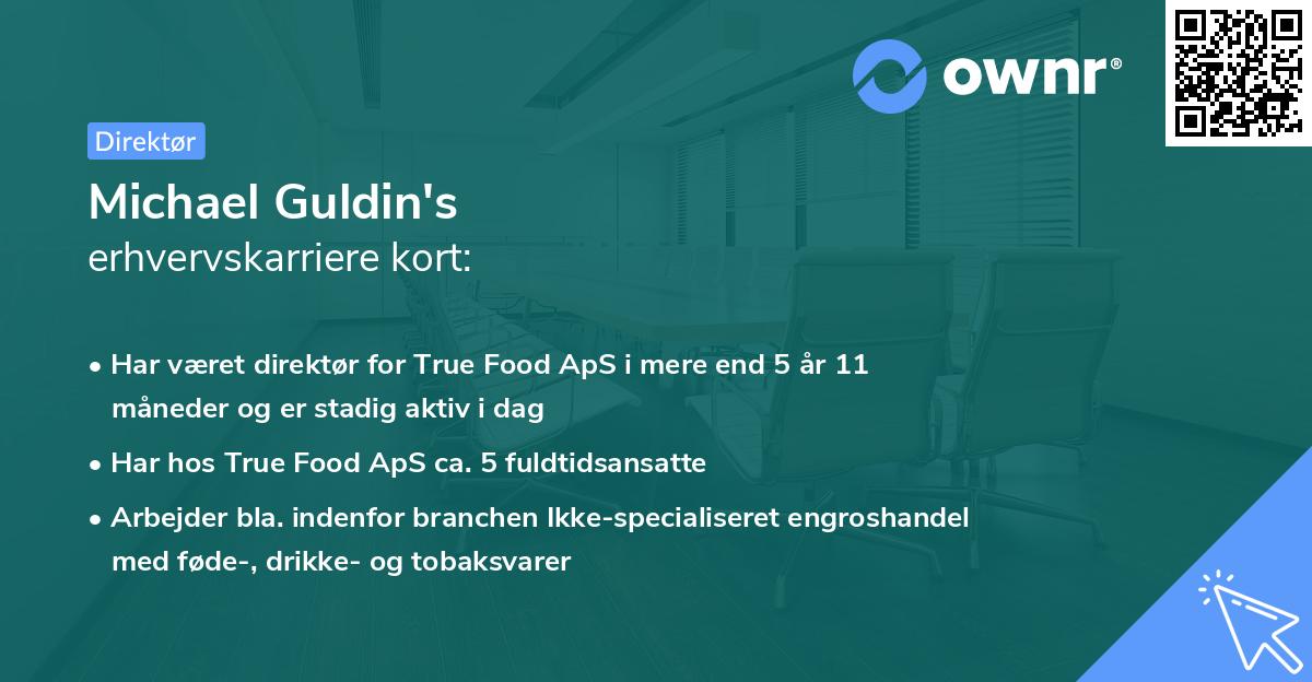 Michael Guldin's erhvervskarriere kort