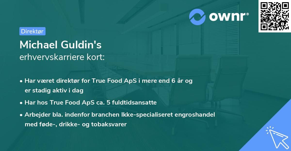 Michael Guldin's erhvervskarriere kort