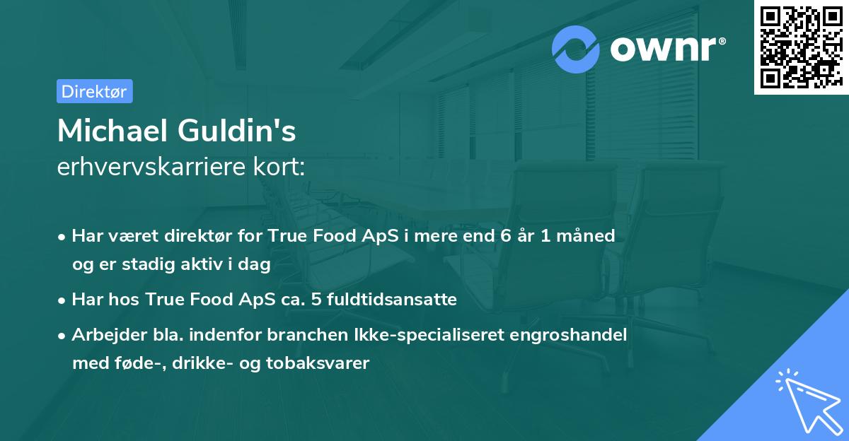 Michael Guldin's erhvervskarriere kort