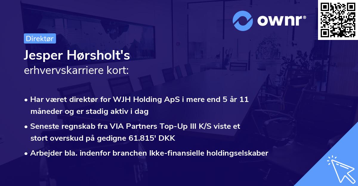 Jesper Hørsholt's erhvervskarriere kort