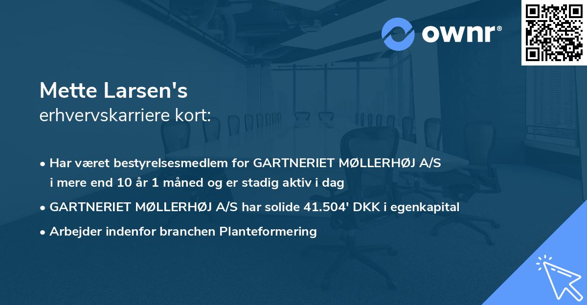 Mette Larsen's erhvervskarriere kort