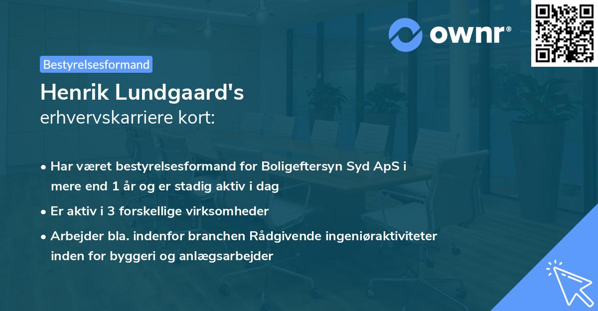 Henrik Lundgaard's erhvervskarriere kort