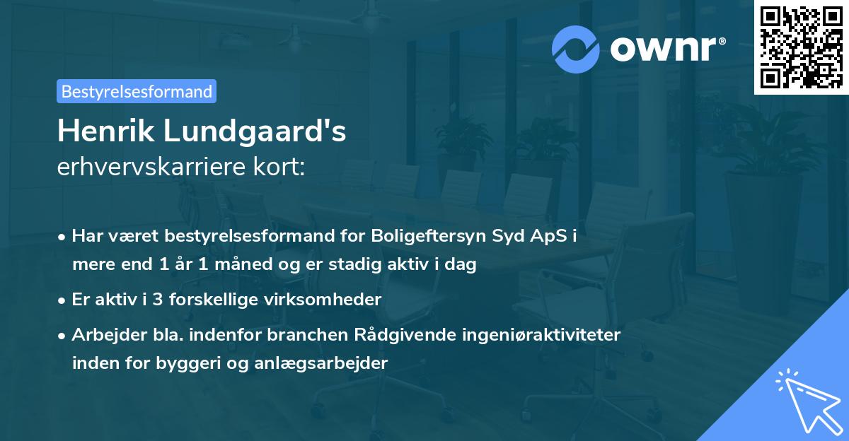 Henrik Lundgaard's erhvervskarriere kort