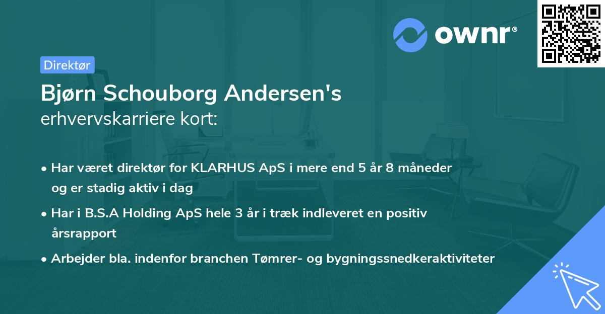 Bjørn Schouborg Andersen's erhvervskarriere kort