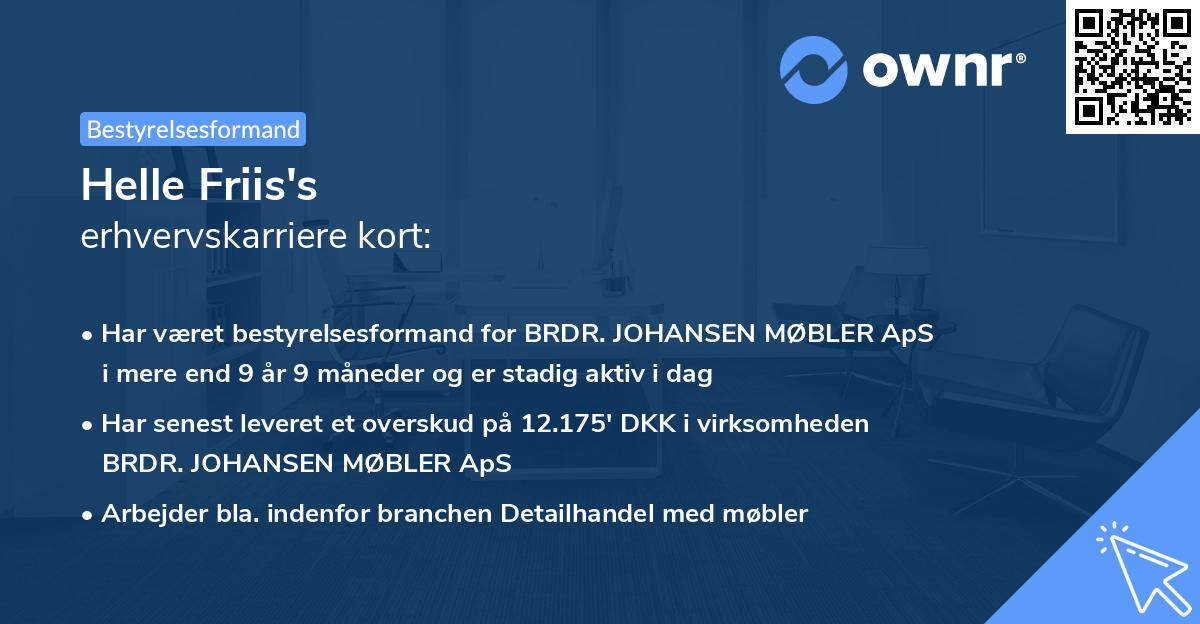 Helle Friis's erhvervskarriere kort