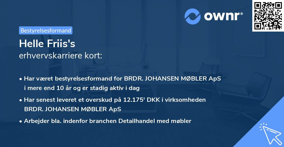 Helle Friis's erhvervskarriere kort