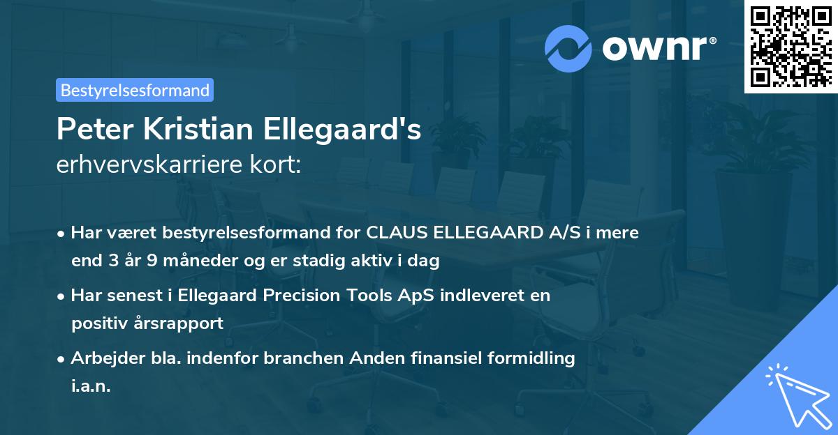 Peter Kristian Ellegaard's erhvervskarriere kort
