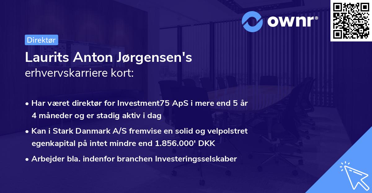 Laurits Anton Jørgensen's erhvervskarriere kort