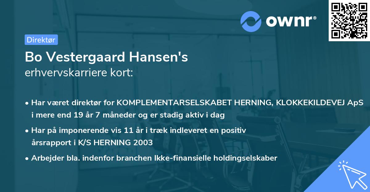 Bo Vestergaard Hansen's erhvervskarriere kort