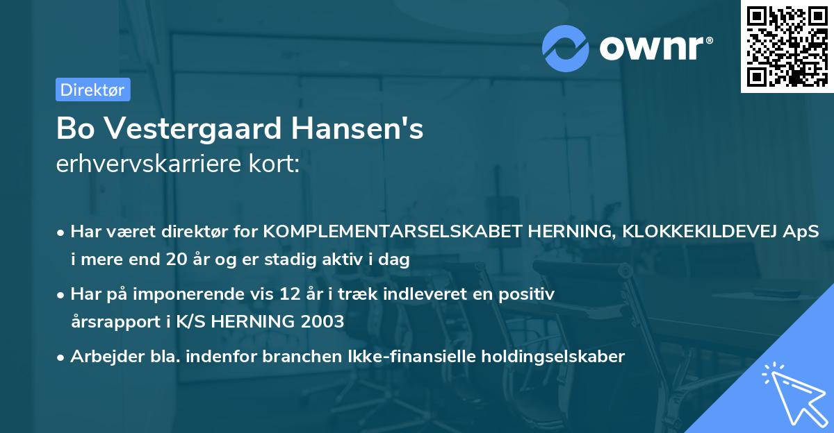 Bo Vestergaard Hansen's erhvervskarriere kort
