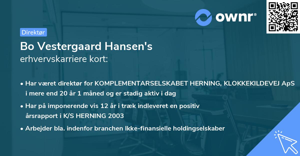 Bo Vestergaard Hansen's erhvervskarriere kort