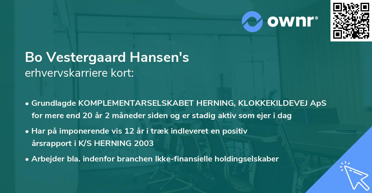 Bo Vestergaard Hansen's erhvervskarriere kort