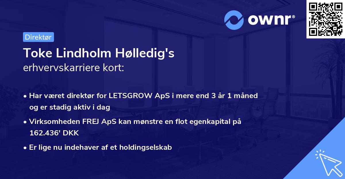 Toke Lindholm Hølledig's erhvervskarriere kort