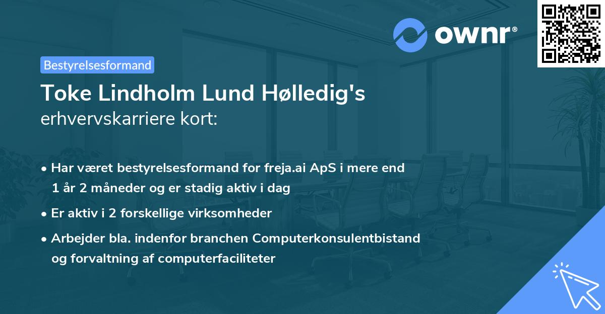 Toke Lindholm Lund Hølledig's erhvervskarriere kort