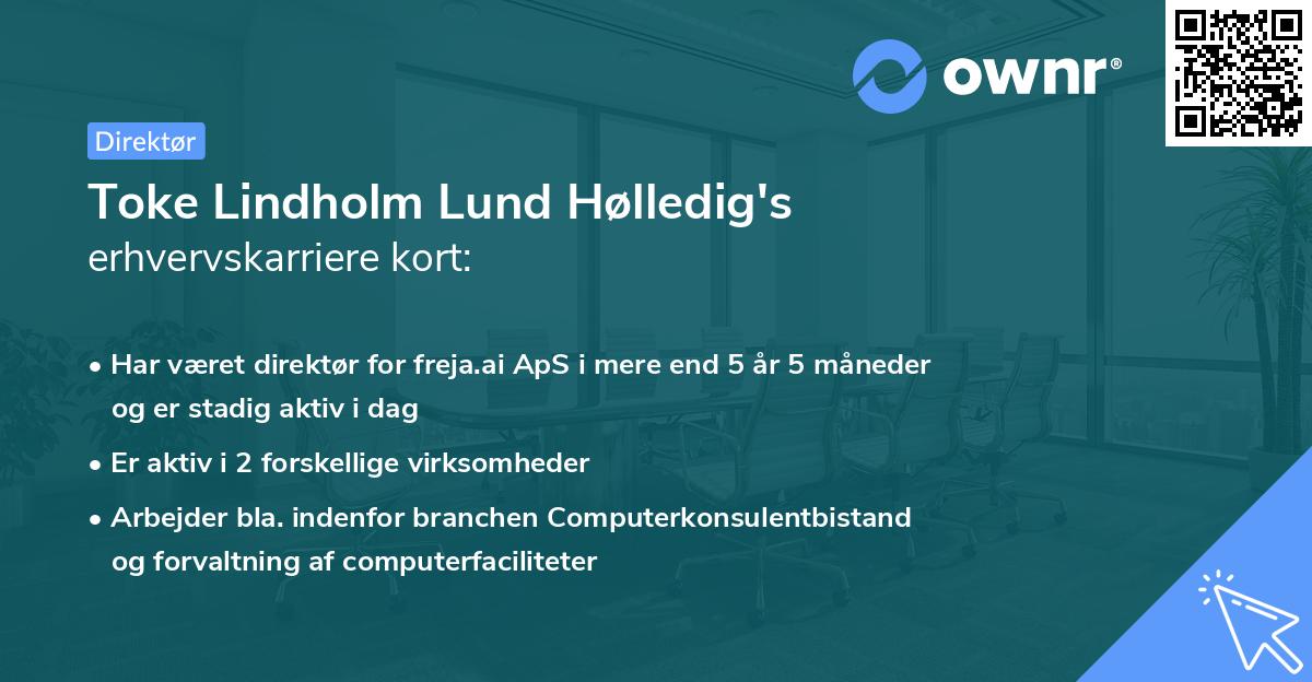 Toke Lindholm Lund Hølledig's erhvervskarriere kort