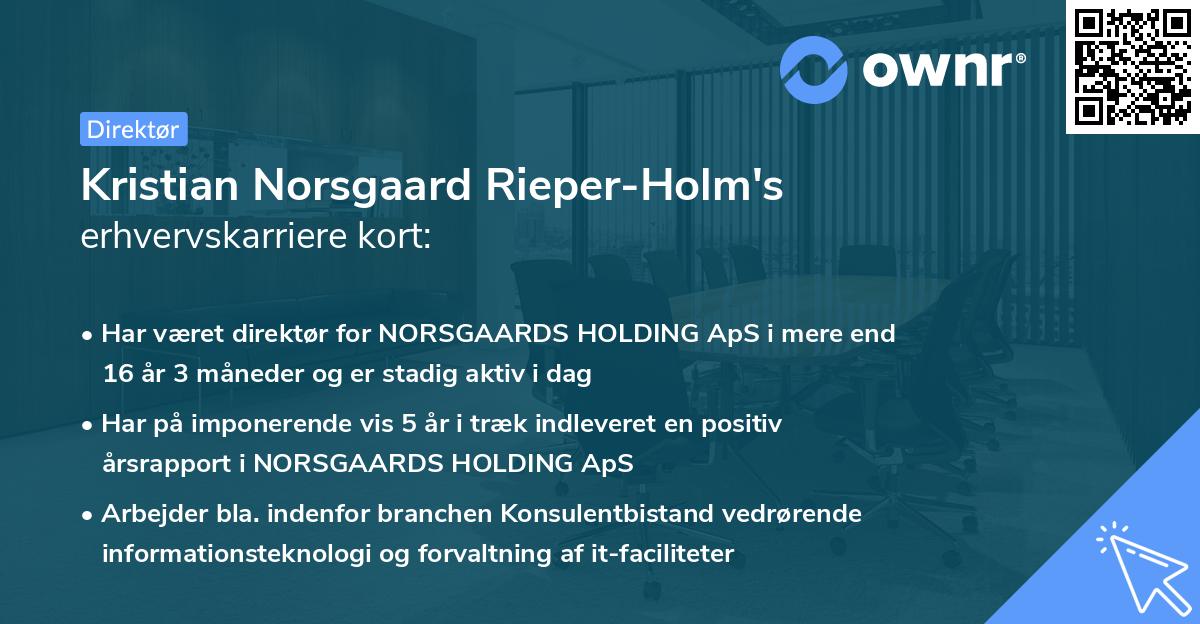 Kristian Norsgaard Rieper-Holm's erhvervskarriere kort