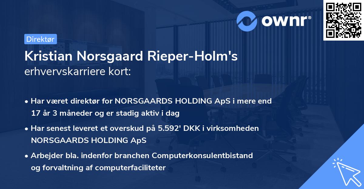 Kristian Norsgaard Rieper-Holm's erhvervskarriere kort