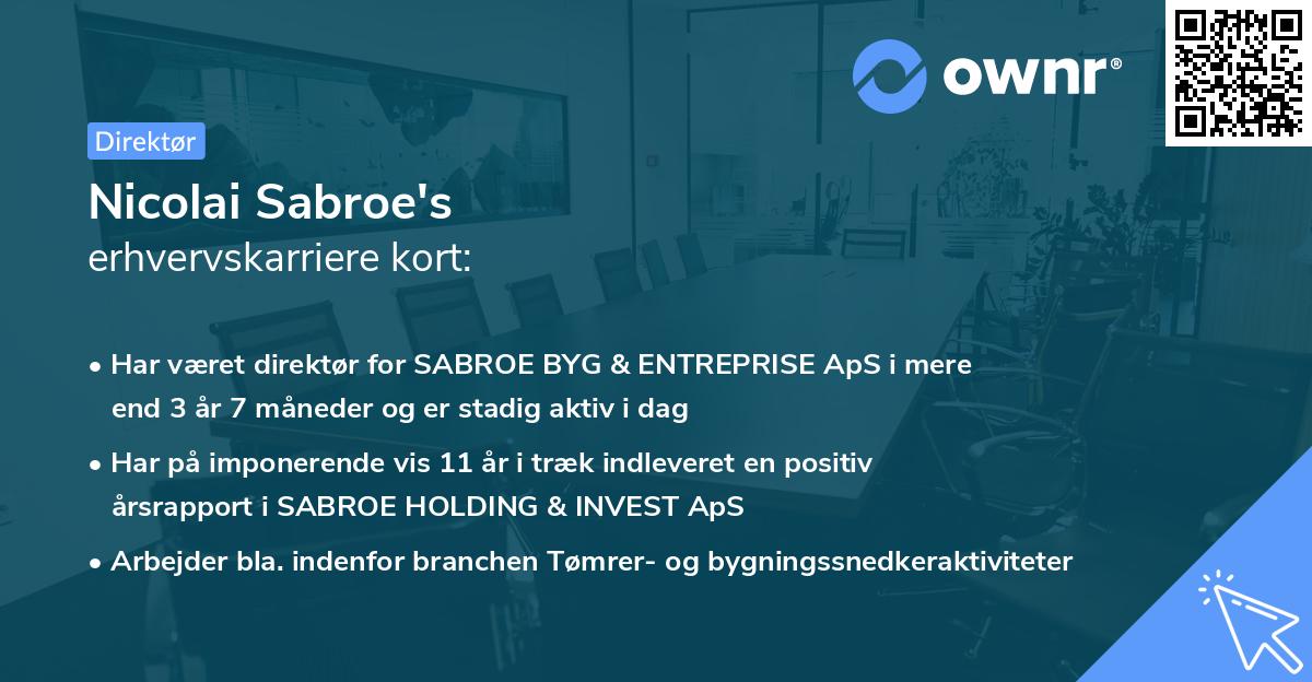 Nicolai Sabroe's erhvervskarriere kort