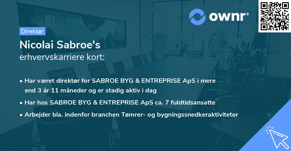 Nicolai Sabroe's erhvervskarriere kort