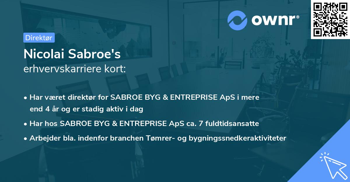 Nicolai Sabroe's erhvervskarriere kort