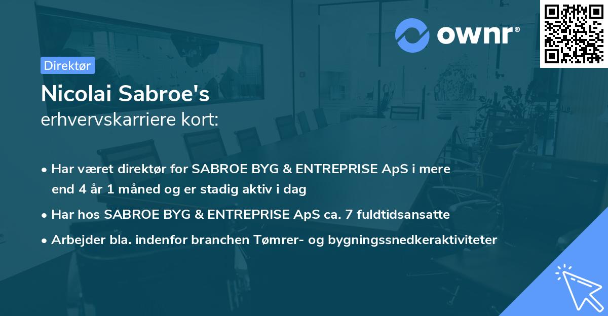 Nicolai Sabroe's erhvervskarriere kort