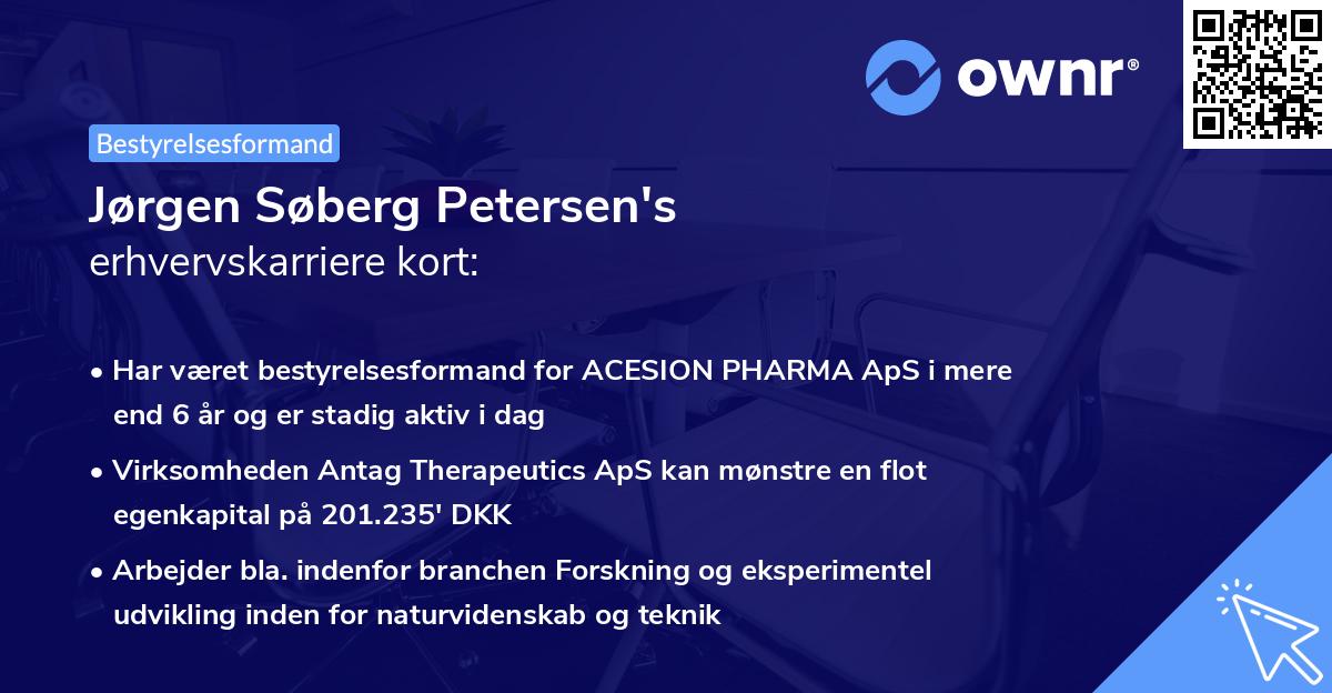 Jørgen Søberg Petersen's erhvervskarriere kort