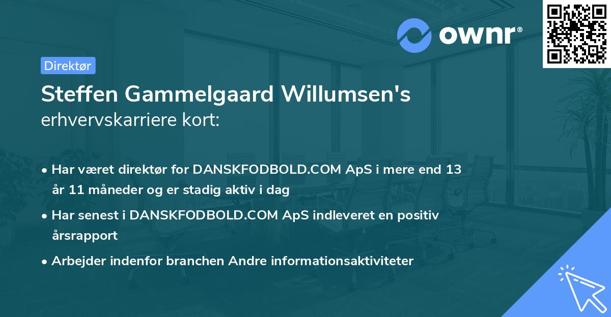 Steffen Gammelgaard Willumsen's erhvervskarriere kort