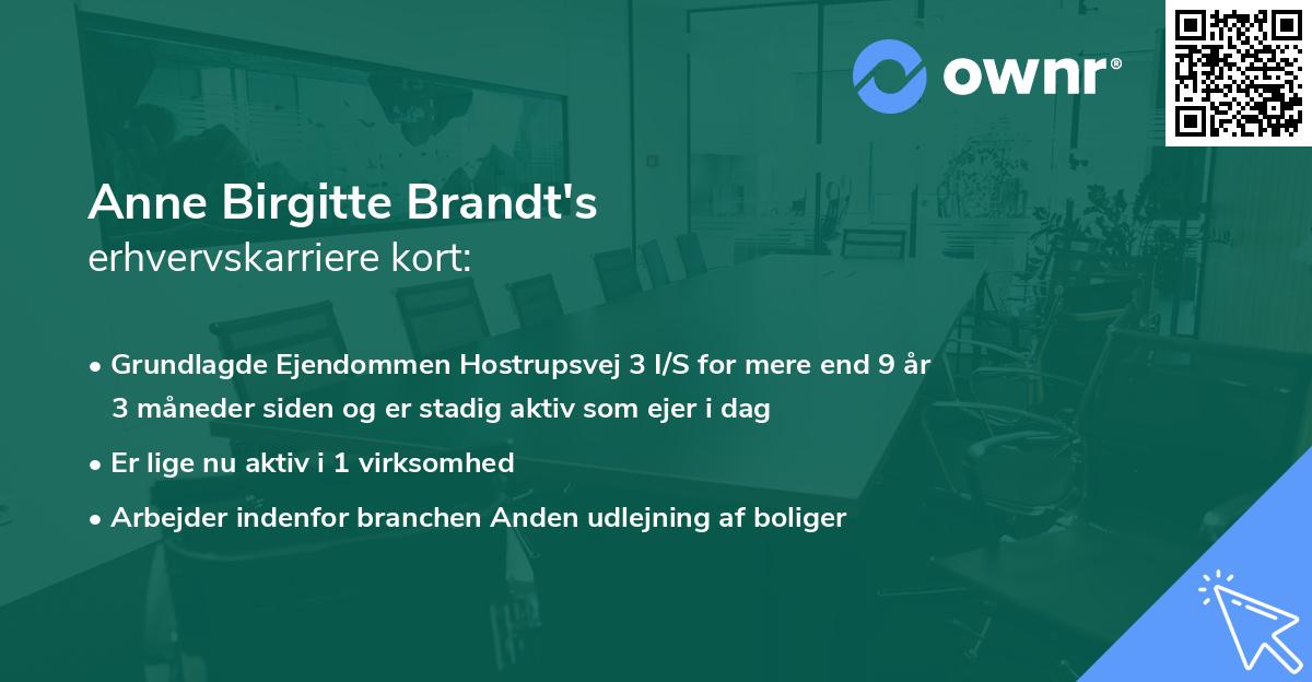 Anne Birgitte Brandt's erhvervskarriere kort