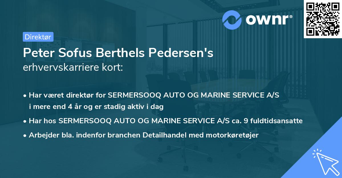 Peter Sofus Berthels Pedersen's erhvervskarriere kort