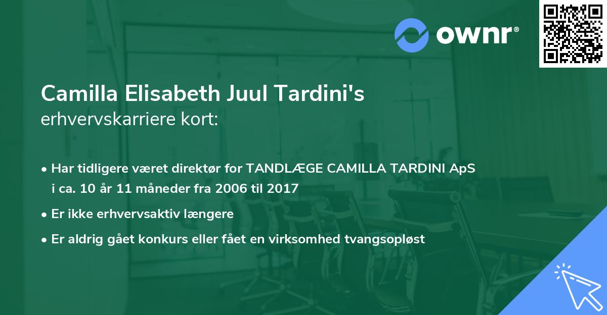 Camilla Elisabeth Juul Tardini's erhvervskarriere kort