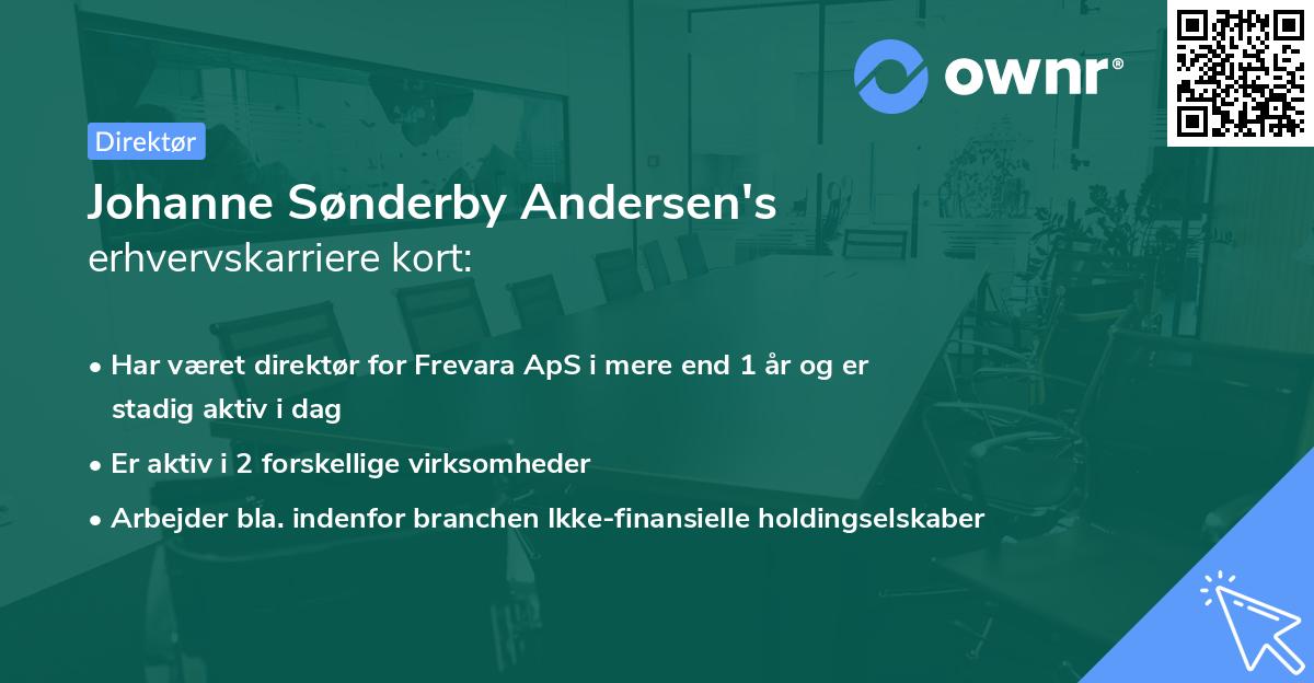 Johanne Sønderby Andersen's erhvervskarriere kort