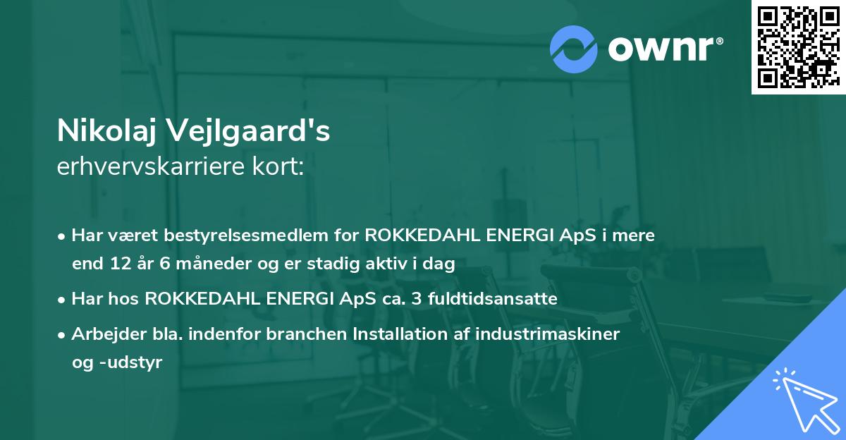 Nikolaj Vejlgaard's erhvervskarriere kort