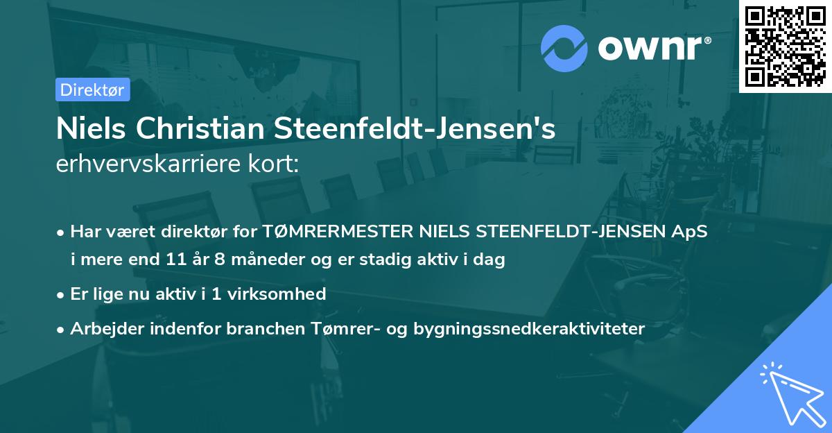 Niels Christian Steenfeldt-Jensen's erhvervskarriere kort