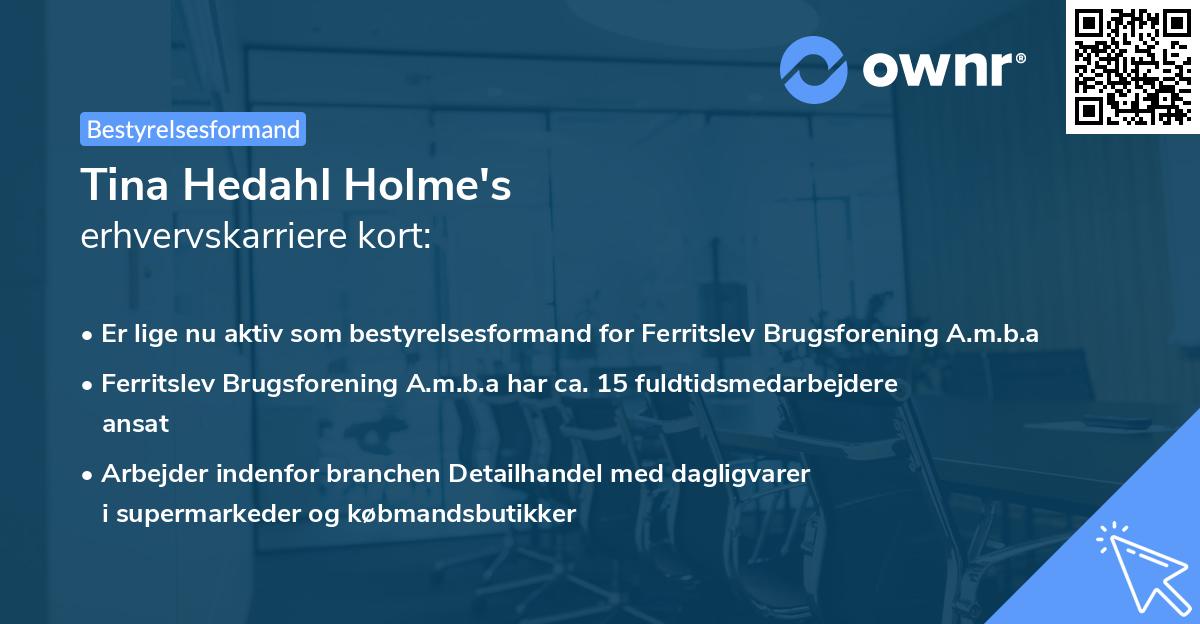 Tina Hedahl Holme's erhvervskarriere kort