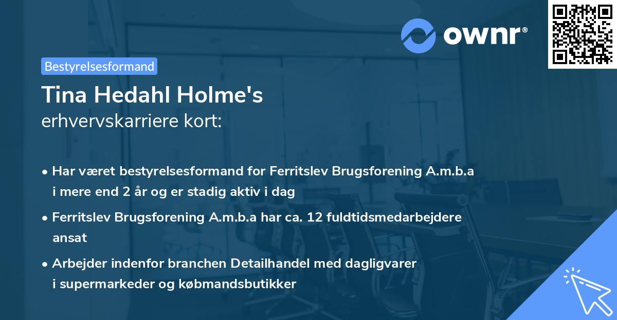 Tina Hedahl Holme's erhvervskarriere kort