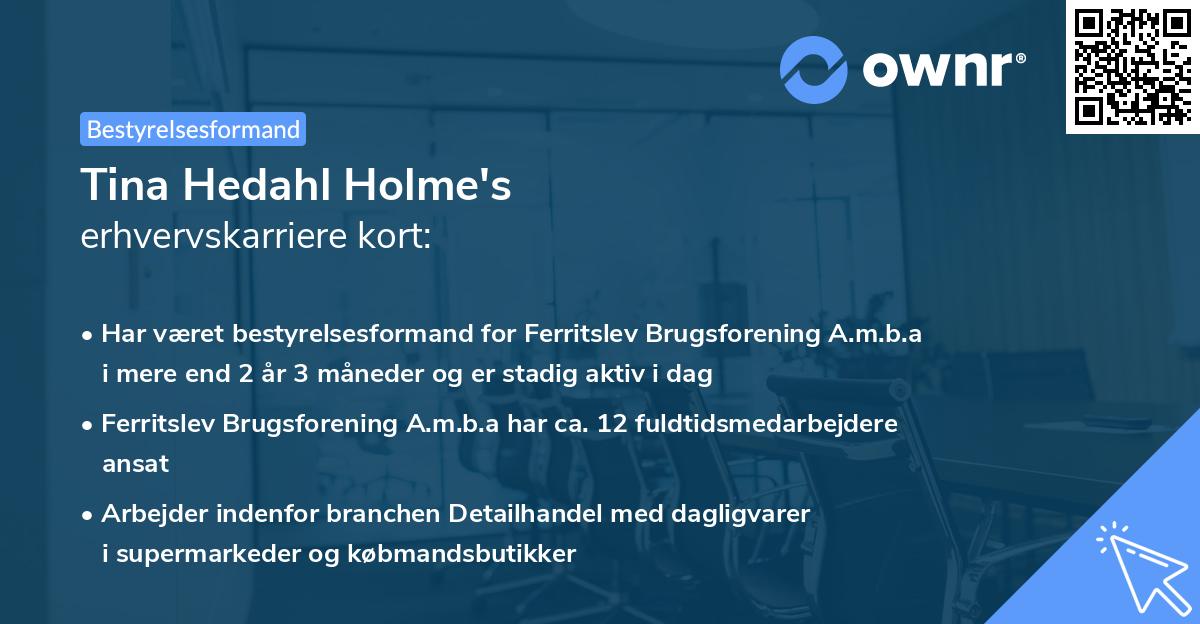 Tina Hedahl Holme's erhvervskarriere kort