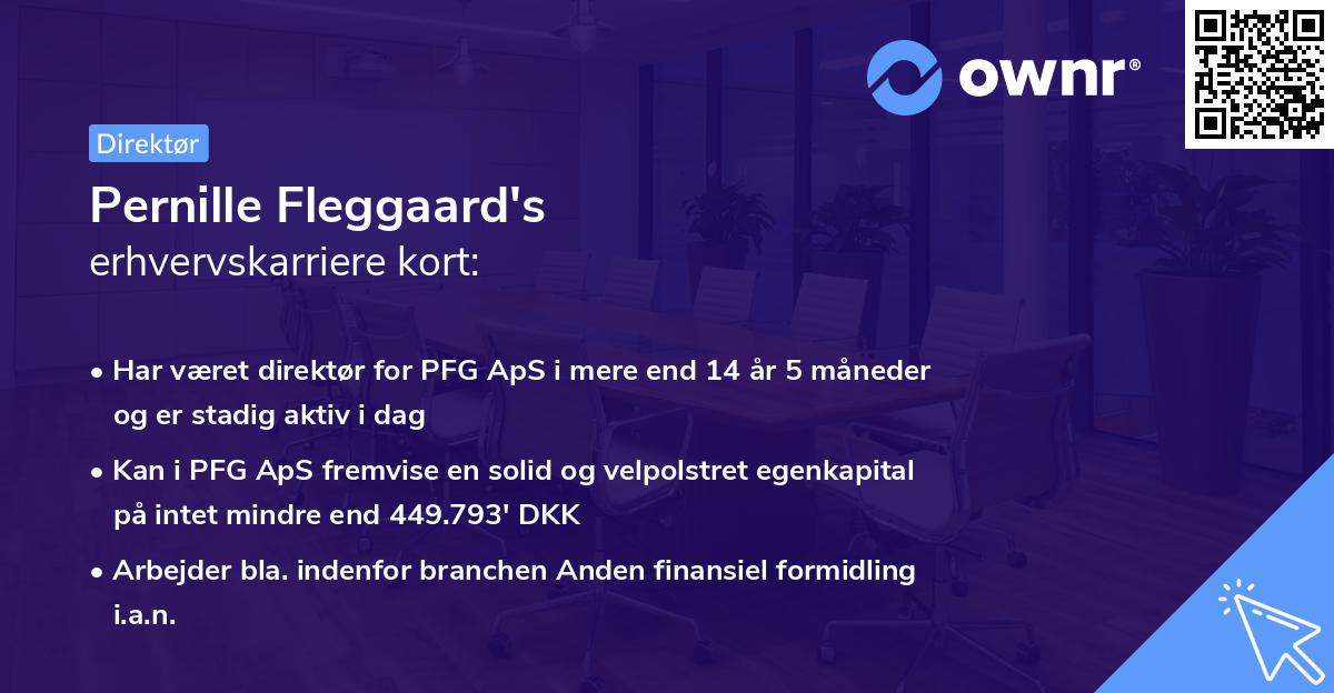 Pernille Fleggaard's erhvervskarriere kort