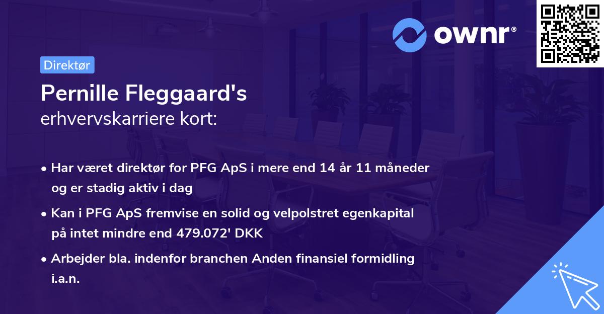 Pernille Fleggaard's erhvervskarriere kort