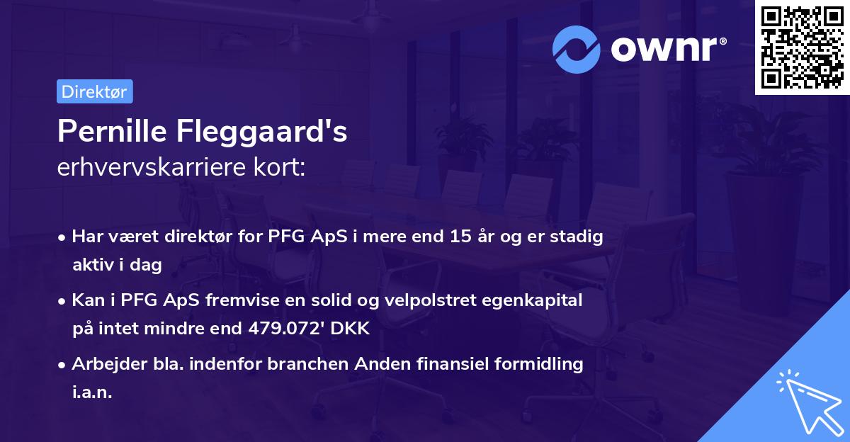 Pernille Fleggaard's erhvervskarriere kort