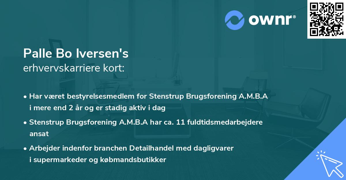 Palle Bo Iversen's erhvervskarriere kort