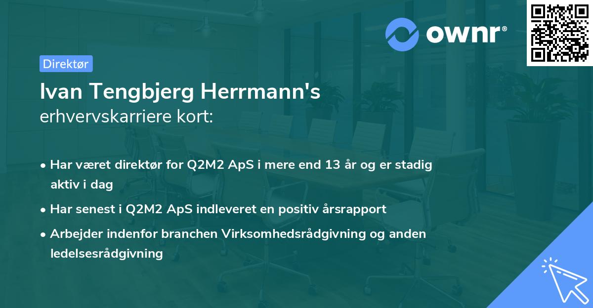 Ivan Tengbjerg Herrmann's erhvervskarriere kort