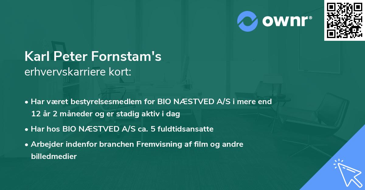 Karl Peter Fornstam's erhvervskarriere kort