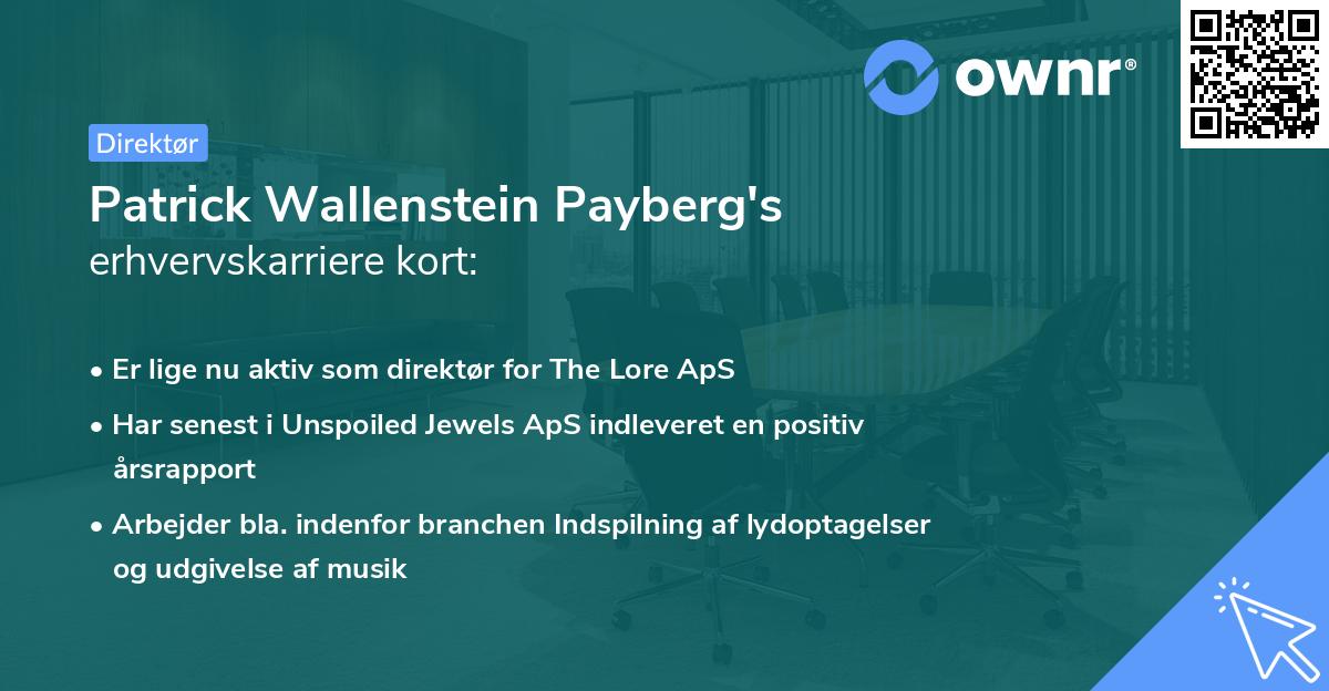 Patrick Wallenstein Payberg's erhvervskarriere kort