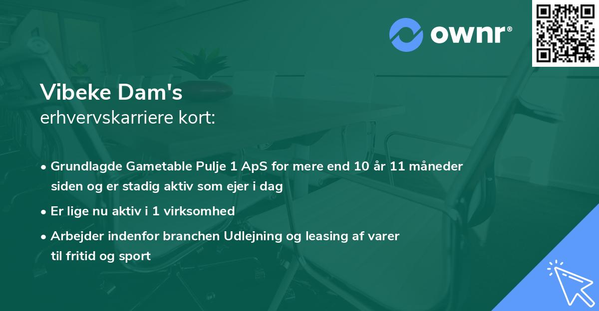 Vibeke Dam's erhvervskarriere kort