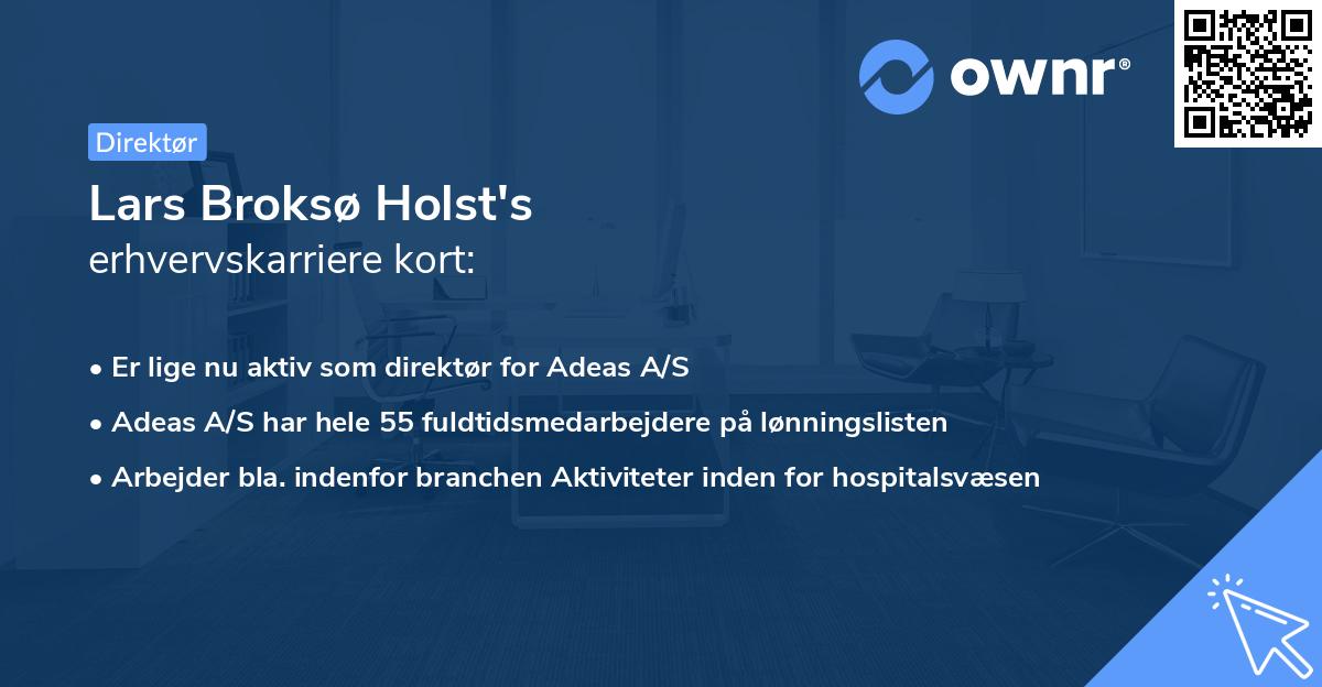 Lars Broksø Holst's erhvervskarriere kort
