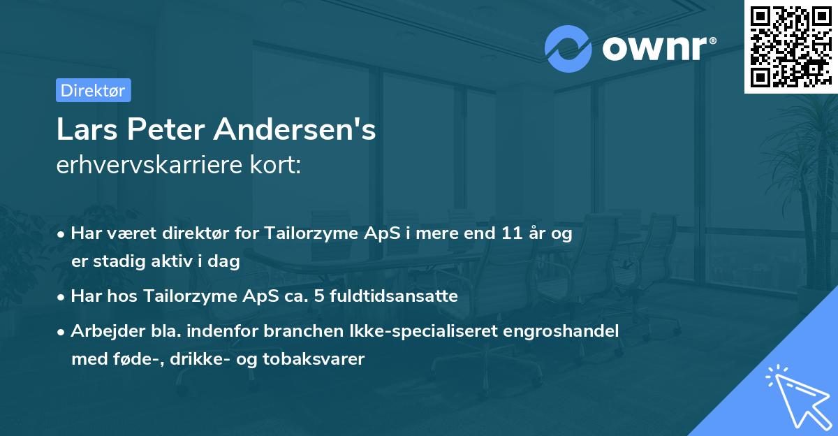 Lars Peter Andersen's erhvervskarriere kort