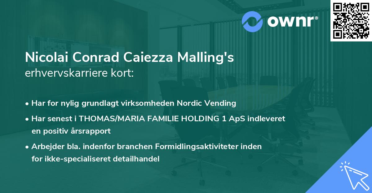 Nicolai Conrad Caiezza Malling's erhvervskarriere kort