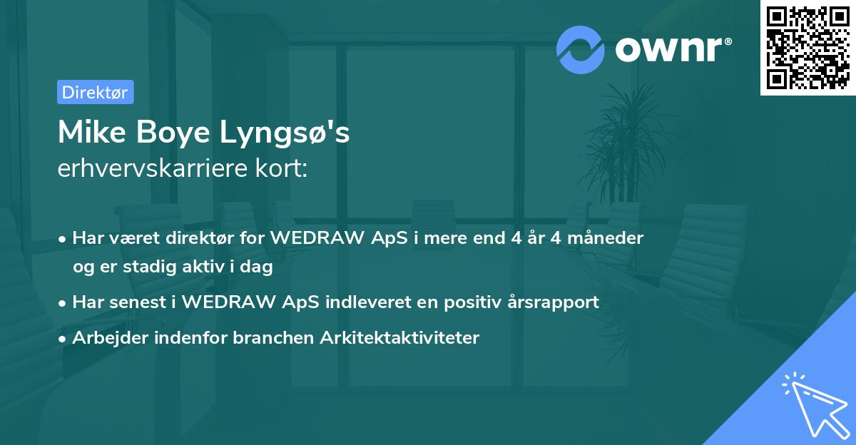 Mike Boye Lyngsø's erhvervskarriere kort