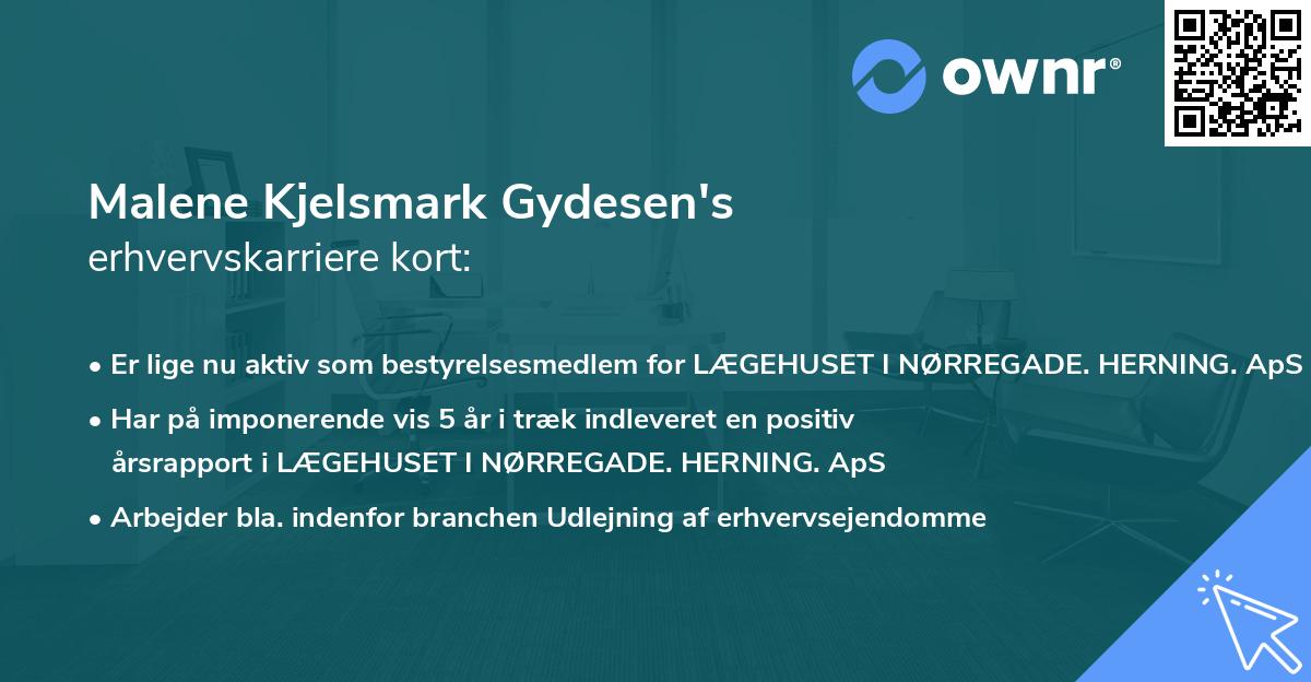 Malene Kjelsmark Gydesen's erhvervskarriere kort
